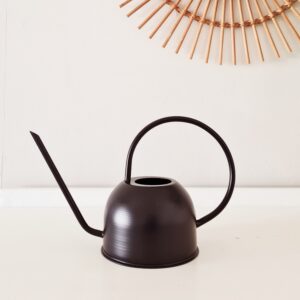 Scandi watering can